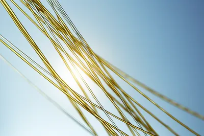 Illustration filaments