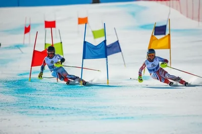 Illustration ps - Image 1