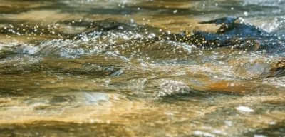 Illustration entraining - Image 1