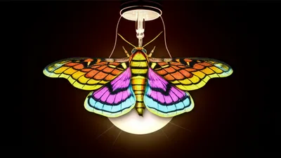 Illustration sucker - Image 1