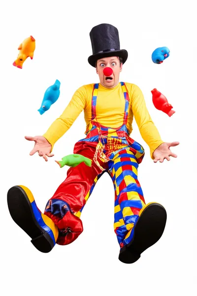 Illustration bish - Image 1