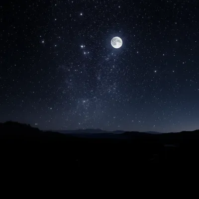 Illustration darks - Image 1