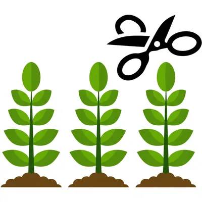 Hình ảnh minh họa poll - Ảnh 1