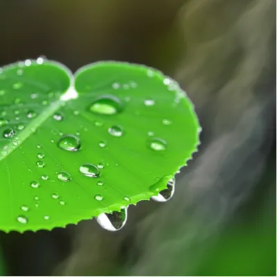 Illustration exhale - Image 1