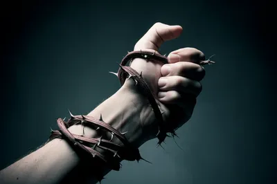 Illustration bestial - Image 1