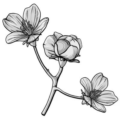 Illustration polygamy - Image 1