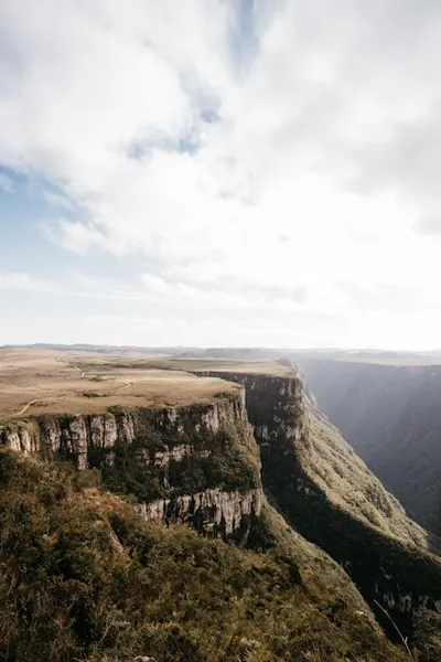 Illustration gorged - Image 2