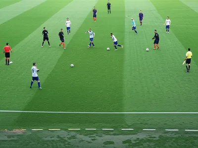 Illustration widest - Image 1