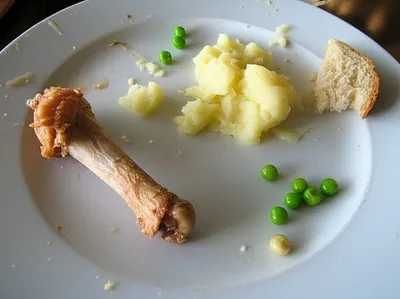 Illustration scraps - Image 1