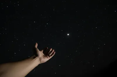 Illustration distal - Image 1