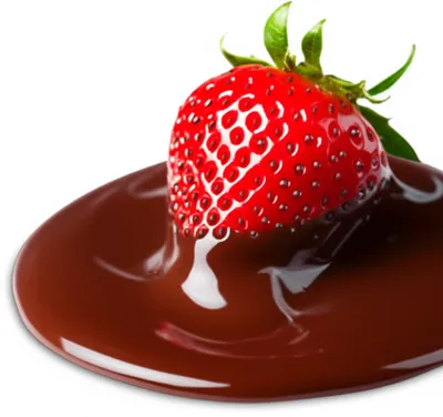 Illustration dipped - Image 1