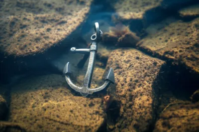 Illustration grappling - Image 1