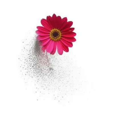 Illustration nilpotent - Image 1