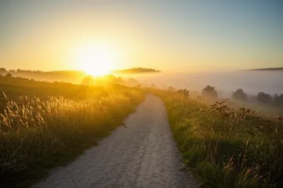 Illustration orient - Image 1