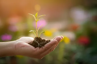 Illustration nourished - Image 1