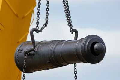 Illustration dolphin - Image 1