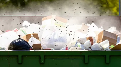 Illustration reeks - Image 1