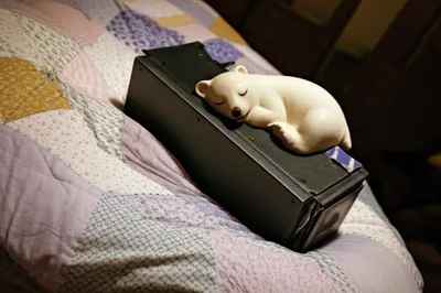 Illustration hibernates - Image 1