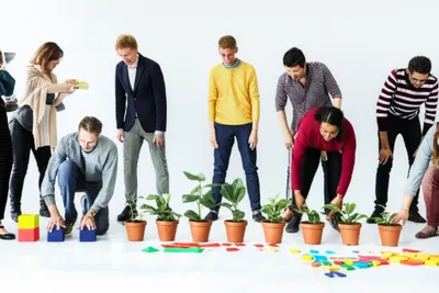 Illustration numbering - Image 1