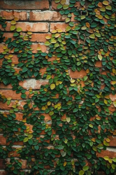 Illustration trailed - Image 1