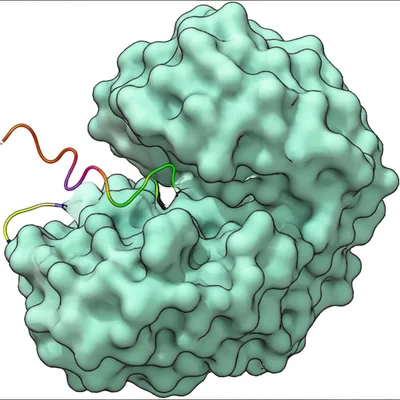 Illustration primer - Image 1