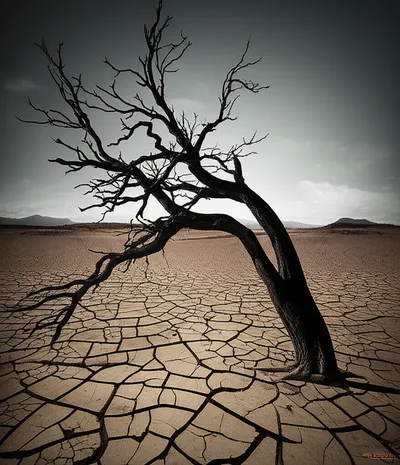 Illustration tortured - Image 1