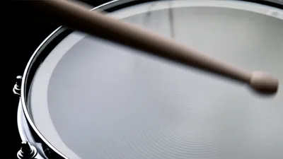 Illustration ruffle - Image 1