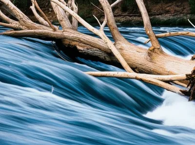 Illustration sawyers - Image 1