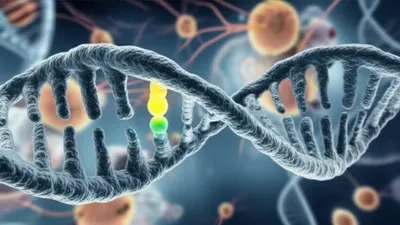 Illustration error - Image 1