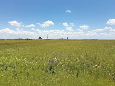 Illustration outfield - Image 1