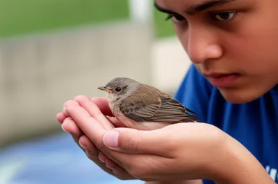 Illustration considerate - Image 1