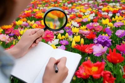 Illustration quotes - Image 1