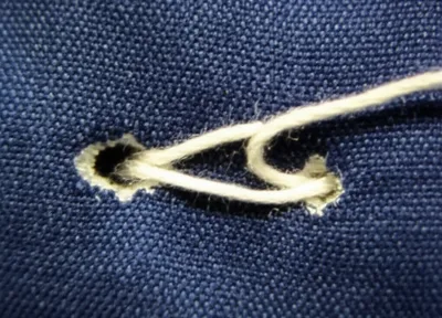 Illustration shank - Image 1