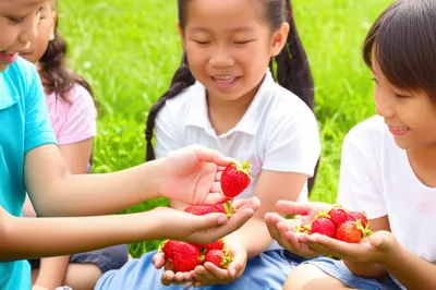 Illustration sharing - Image 1