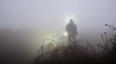 Illustration trawling - Image 1