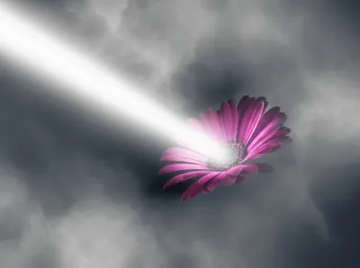 Illustration smart - Image 1