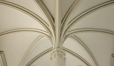 Illustration rib - Image 1