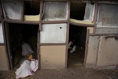 Illustration cribs - Image 1