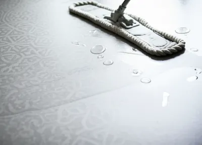 Illustration lino - Image 1