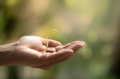 Illustration gentler - Image 1