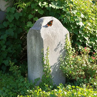 Illustration epitaph - Image 1