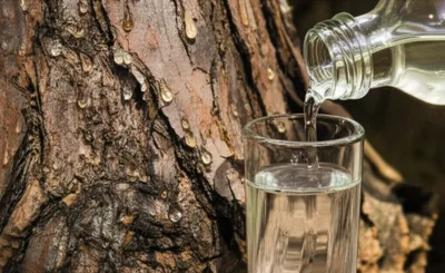 Illustration mastic - Image 1