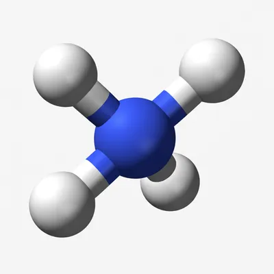 Illustration amino - Image 1