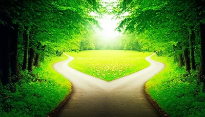 Illustration forking - Image 1