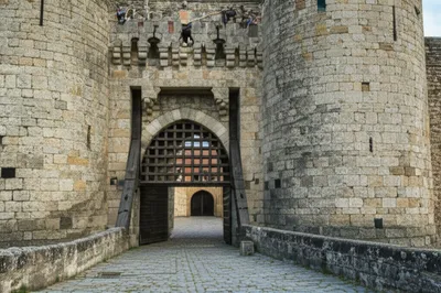 Illustration bar - Image 1