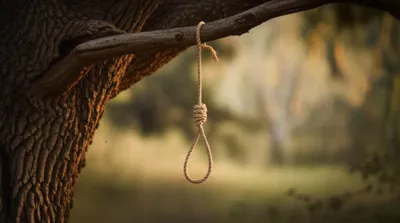 Illustration bough - Image 1