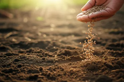 Illustration spends - Image 1