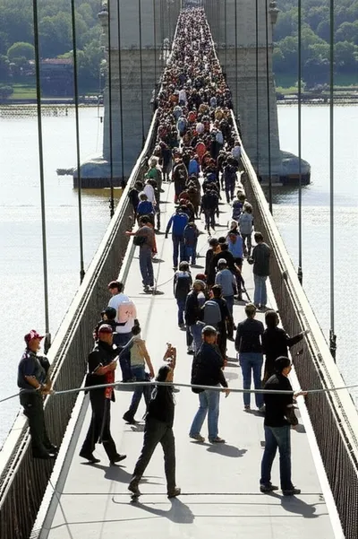 Illustration support - Image 1