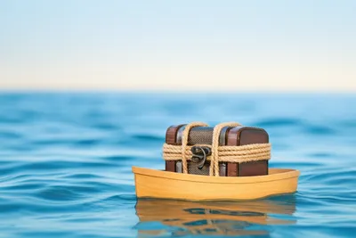 Illustration seed - Image 1