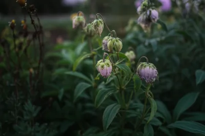 Illustration sleeps - Image 1